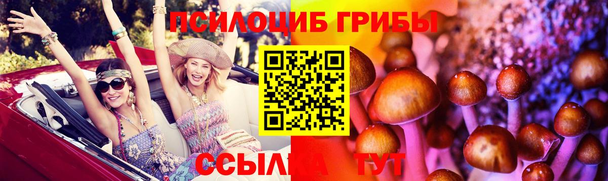 Псилоцибиновые грибы Magic Shrooms  Вход с VPN  Димитровград 