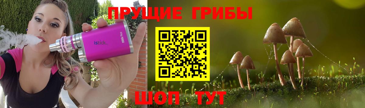 Псилоцибиновые грибы прущие грибы Димитровград